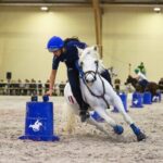 Rendez-vous à Lamotte-Beuvron pour les championnats du monde de pony-games