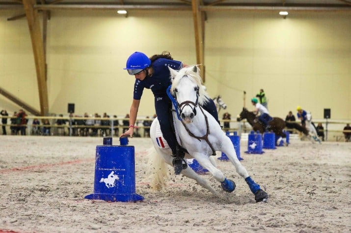 Rendez-vous à Lamotte-Beuvron pour les championnats du monde de pony-games